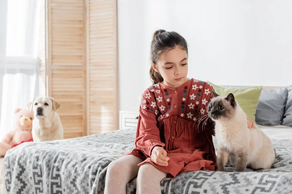 Mädchen streichelt Katze, während sie auf Bett in der Nähe von Labrador auf verschwommenem Hintergrund sitzt — Stockfoto