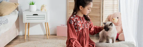 Preteen fille caressant chat moelleux dans la chambre, bannière — Photo de stock