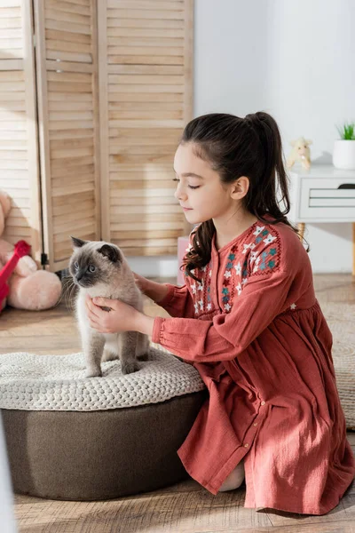 Брюнетка с конским хвостом гладит кошку сидя на пуфе дома — стоковое фото