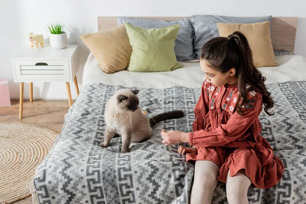 Vista ad alto angolo di ragazza con spikelet giocare con gatto sul letto — Foto stock