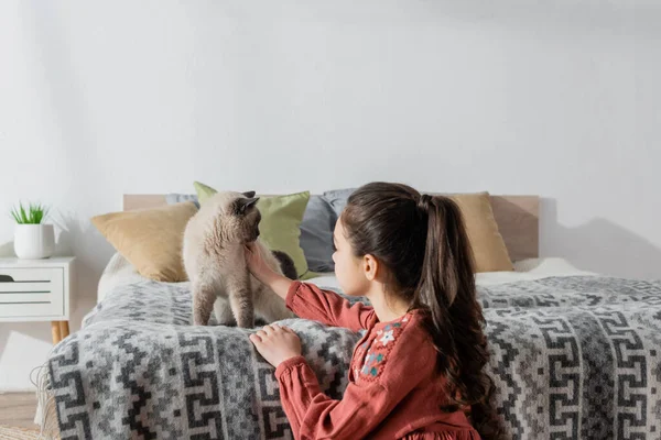 Preteen girl with ponytail petting cat sitting on bed with pillows — Stock Photo