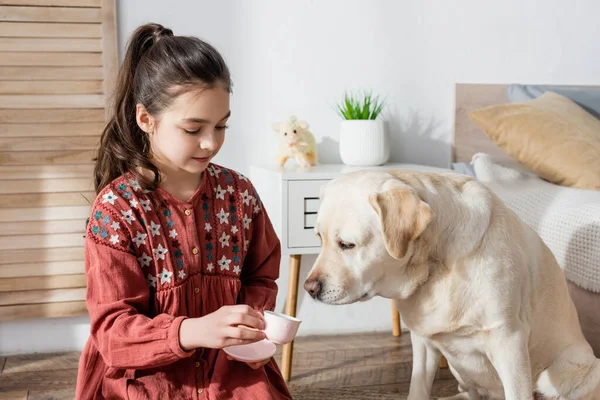 Собака-лабрадор нюхает игрушечную чашку в руках девочки-подростка, играющей дома — стоковое фото