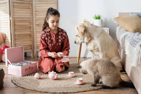 Menina segurando copo de brinquedo e pires enquanto sentado no chão com cão e gato — Fotografia de Stock