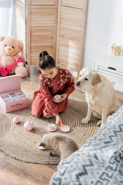 Vista de ángulo alto de perro y gato sentado en el suelo cerca de la chica jugando con el juego de té de juguete - foto de stock