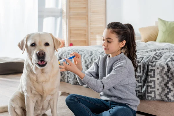 Brünettes Mädchen spritzt Labrador-Hund mit Spielzeugspritze — Stockfoto