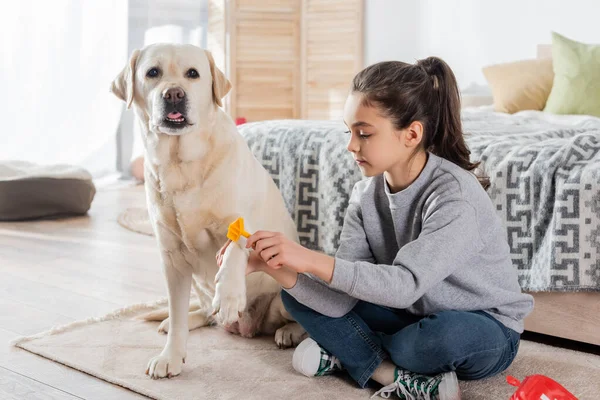 Mädchen sitzt mit gekreuzten Beinen auf dem Boden und untersucht Labrador mit Spielzeugschläger — Stockfoto