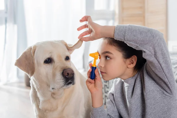 Preteen girl examining ear of dog with otoscope while playing at home — Stock Photo