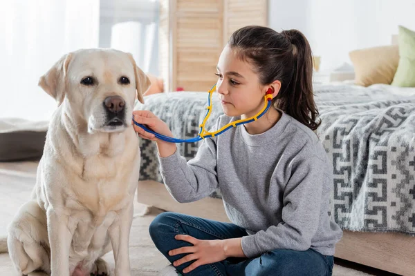 Brunette girl with ponytail examining labrador dog with toy stethoscope — Stock Photo