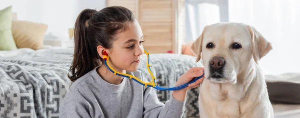 Preadolescente morena chica examinando labrador perro con juguete estetoscopio, bandera — Stock Photo