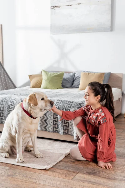 Chica sonriente acariciando perro labrador mientras está sentado en el suelo en el dormitorio - foto de stock