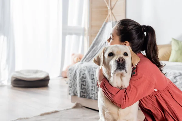 Preteen girl with ponytail embracing labrador dog at home — Stock Photo