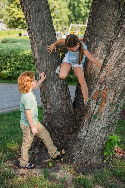 Menina escalando na árvore perto do irmão no parque — Fotografia de Stock