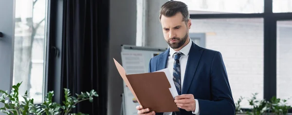 Focused economist reading documents in folder, banner — Stock Photo