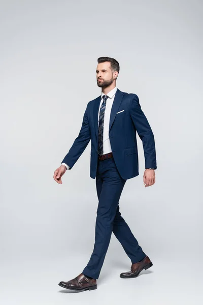 Vista completa de empresario confiado en traje azul caminando sobre gris - foto de stock