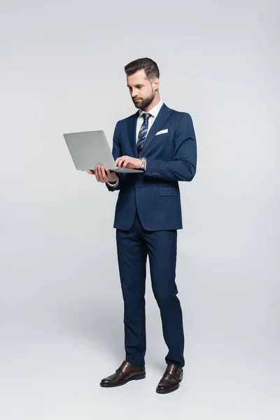 Full length view of businessman in blue suit using laptop on grey — стоковое фото