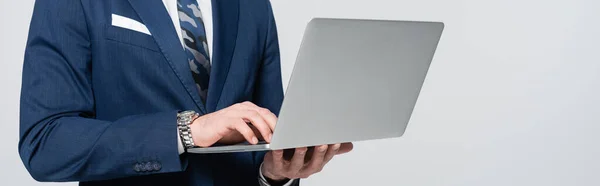 Partial view of economist in blue blazer typing on laptop isolated on grey, banner — стоковое фото