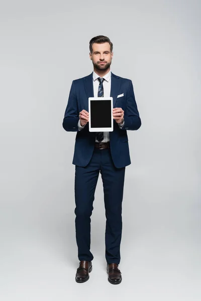 Visão comprimento total do empresário em terno azul segurando tablet digital com tela em branco no cinza — Fotografia de Stock