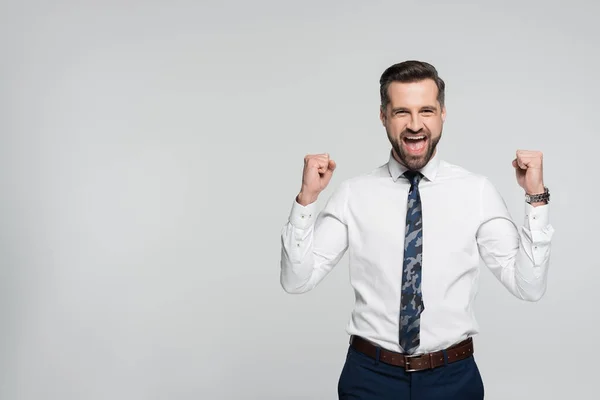 Exitoso hombre de negocios gritando y mostrando un gesto de victoria aislado en gris - foto de stock