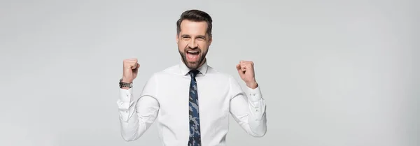 Economista eccitato urlando e mostrando il gesto di successo isolato su grigio, banner — Foto stock