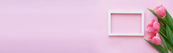 Ansicht des Rahmens bei blühenden Tulpen auf rosa, Banner — Stockfoto