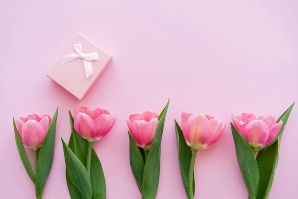 Ansicht der Reihe mit blühenden Tulpen in der Nähe von Geschenkschachtel auf rosa — Stockfoto
