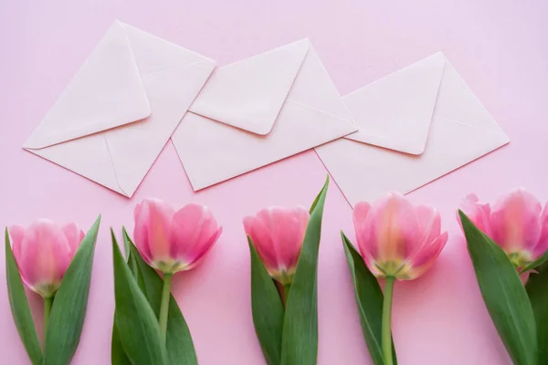 Vue du haut de la rangée avec des tulipes en fleurs et des enveloppes isolées sur rose — Photo de stock