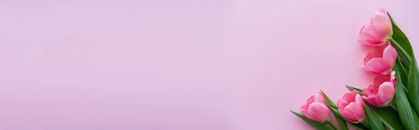 Вид зверху на букет квітучих квітів ізольований на рожевому, банер — Stock Photo