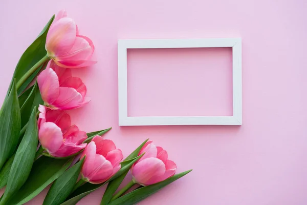 Vista dall'alto di fiori in fiore vicino cornice bianca su rosa — Foto stock