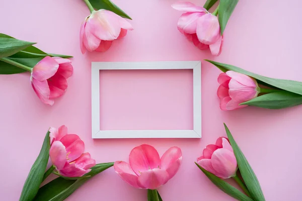 Draufsicht auf blühende Blumen um weißen Rahmen auf rosa — Stockfoto