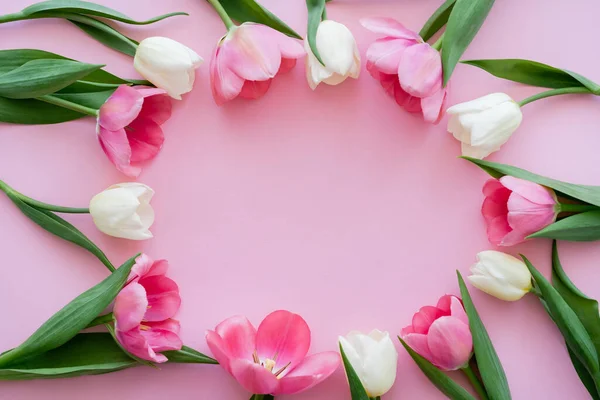 Top view of frame with blooming flowers on pink — Stock Photo