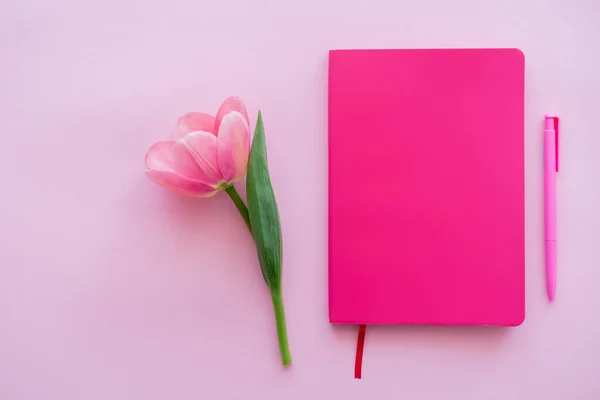 Vue du dessus de la tulipe près du bloc-notes et du stylo sur rose — Photo de stock