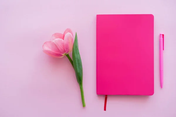 Vista superior del tulipán cerca del bloc de notas y la pluma en rosa - foto de stock