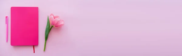 Вид сверху на тюльпан рядом с блокнотом и ручкой на розовом, баннер — стоковое фото
