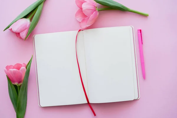 Верхний вид тюльпанов рядом с пустым блокнотом и ручкой на розовом — стоковое фото