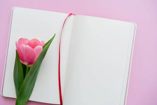 Vista superior da tulipa perto de notebook em branco em rosa — Fotografia de Stock