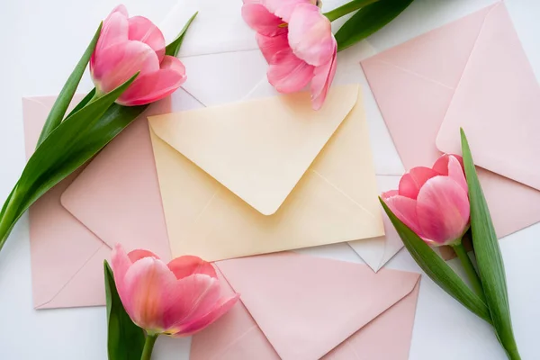 Vista dall'alto di tulipani rosa vicino a buste pastello su bianco — Stock Photo