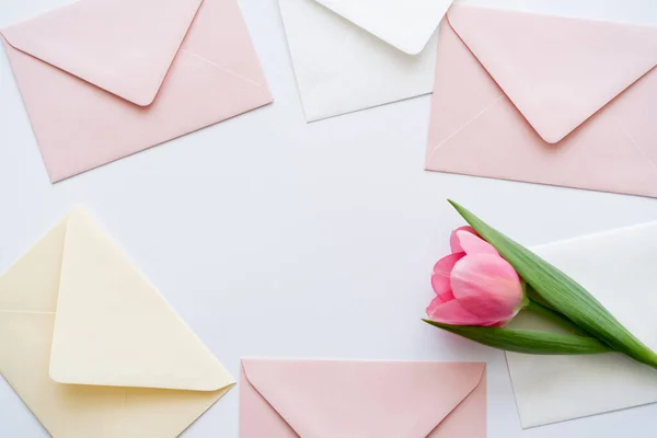 Draufsicht auf rosa Tulpe in der Nähe pastellfarbener Umschläge auf Weiß — Stockfoto