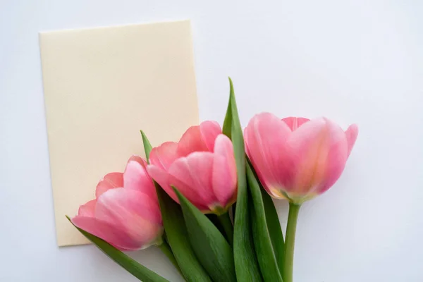 Vue de dessus des tulipes roses près de l'enveloppe jaune pastel sur blanc — Photo de stock