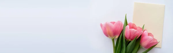 Top view of pink tulips near pastel yellow envelope on white, banner — Stock Photo