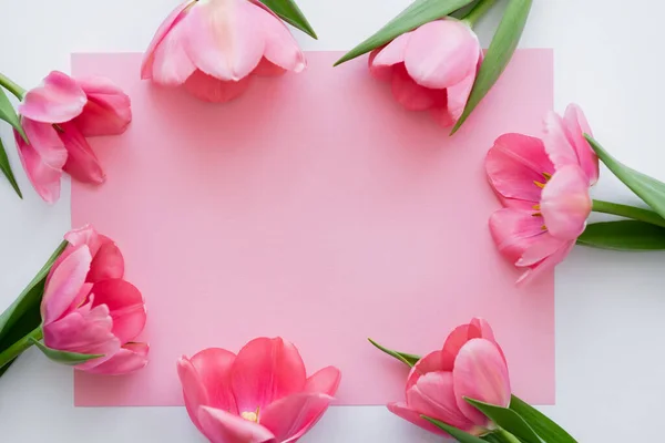 Vista superior do quadro com tulipas perto de papel em branco rosa no branco — Fotografia de Stock