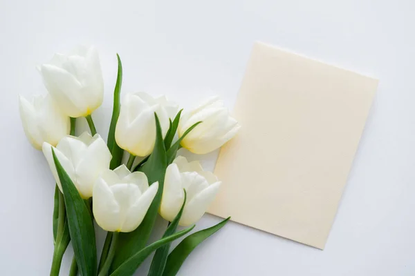 Top view of bouquet with tulips near envelope on white background — Stock Photo