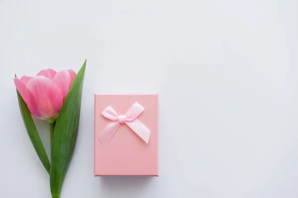 Ansicht der Geschenkbox und rosa Tulpe auf weißem Grund — Stockfoto