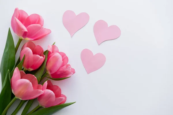 Vista dall'alto di mazzo di tulipani vicino a cuori di carta su bianco — Foto stock