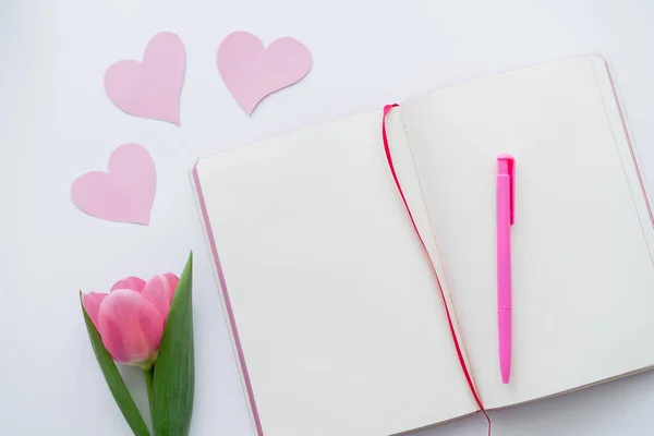 Верхний вид тюльпана возле ноутбука и бумажных сердец на белом — стоковое фото
