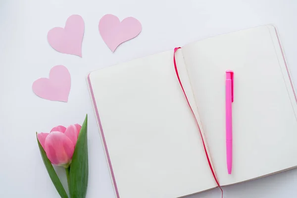 Top view of tulip near notebook and paper hearts on white — Stock Photo