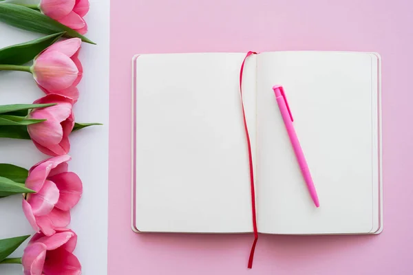 Top view of blank notebook and pen near tulips on white and pink — Stock Photo