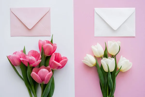 Vue de dessus des tulipes en fleurs près des enveloppes sur blanc et rose — Photo de stock