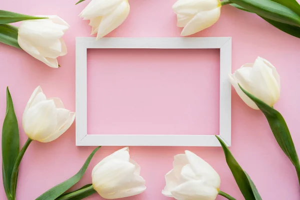 Vue de dessus du cadre blanc près des tulipes sur rose — Photo de stock