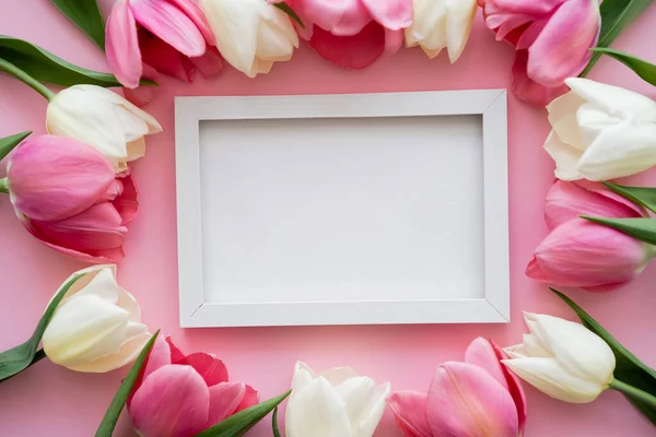 Top view of colorful tulips around frame on pink — Stock Photo