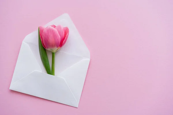 Vista superior del tulipán floreciente en sobre blanco sobre rosa, concepto de día de las madres - foto de stock